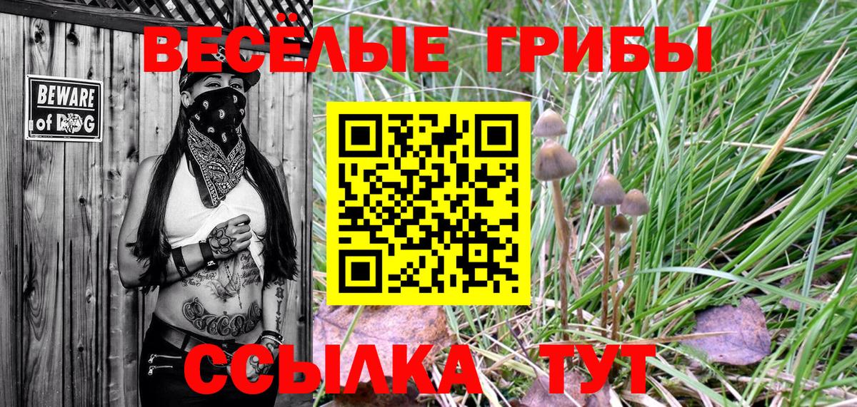 Псилоцибиновые грибы Magic Shrooms Севастополь