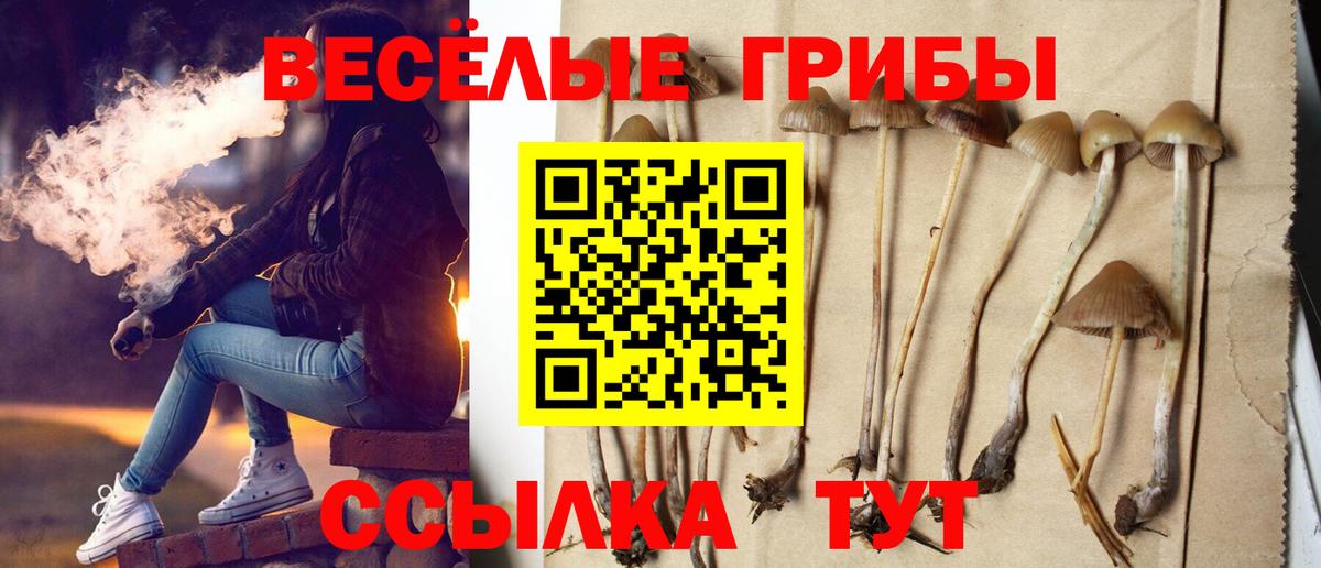 Галлюциногенные грибы ЛСД  Вход с VPN  Галлюциногенные грибы ЛСД  Севастополь 